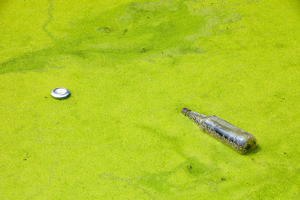 Rubbish thrown into a duckweed covered canal in Warrington, Lancashire, England, United Kingdom, Europe