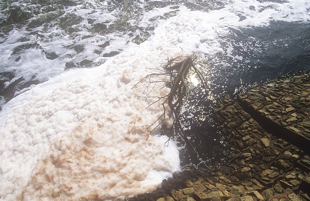 Pollution on the River Mersey near Warrington, Lancashire, England, United Kingdom, Europe