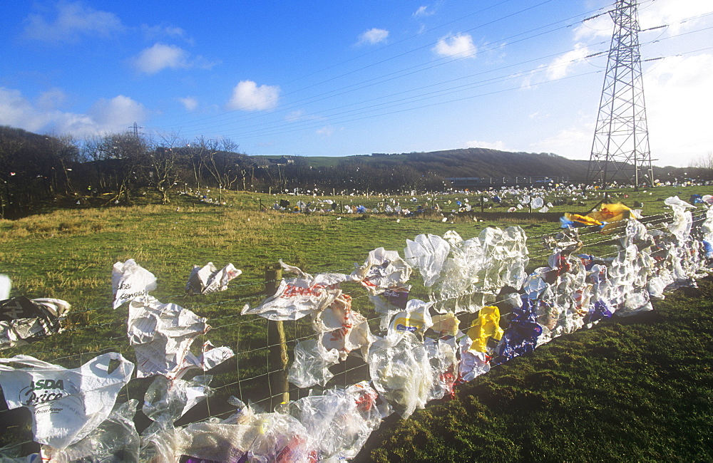 Plastic bags blown from a landfill site in Barrow in Furness, Cumbria, England, United Kingdom, Europe