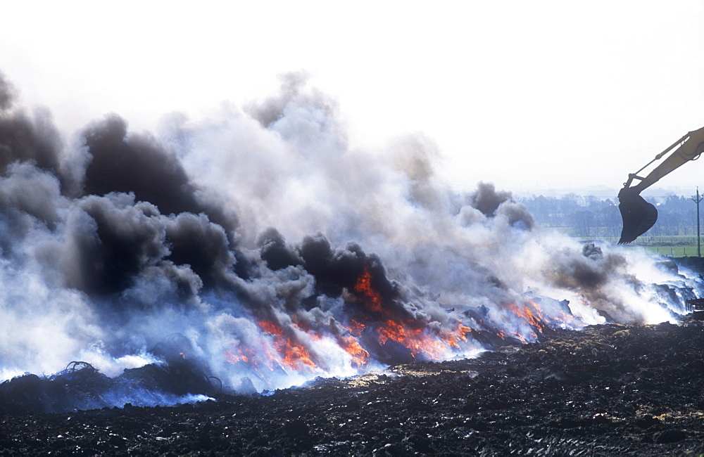 Cattle infected with foot and mouth disease culled and burning on a funeral pyre in North Cumbria, England, United Kingdom, Europe