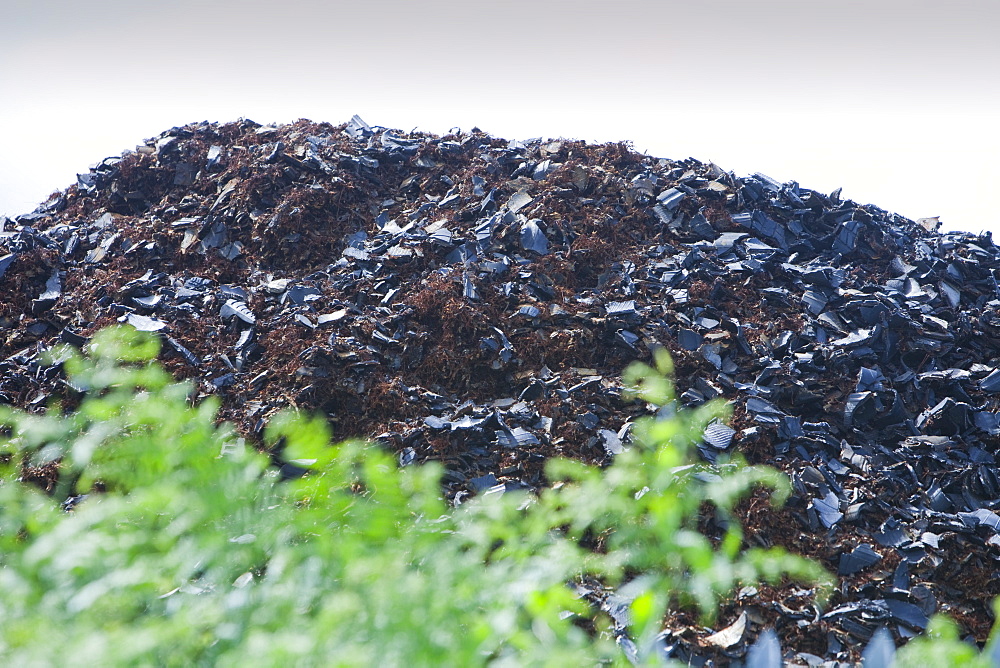 Used car tyres cut up for burning as fuel in power stations