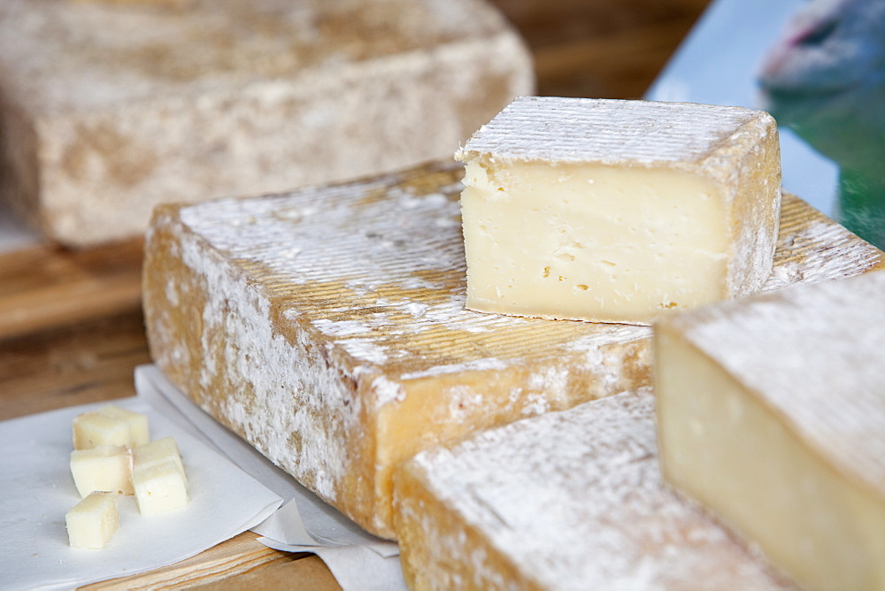 Ewes milk cheese made on Holker Farm Dairy in South Cumbria, for sale on a farmers market in Kendal, Cumbria, England, United Kingdom, Europe