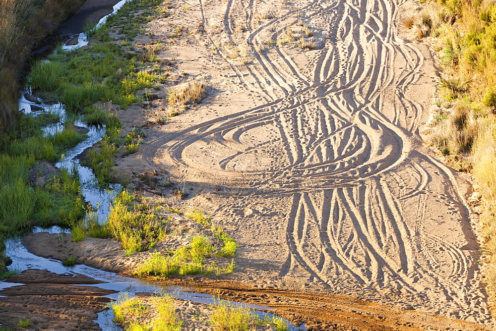 Off road vehicle tracks at Lake Eildon after an uprecedented ten years of drought, with only 29 percent capacity, Victoria, Australia, Pacific