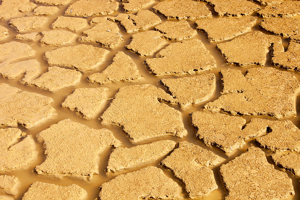 A farmers watering hole, almost dried up, on a farm near Shepperton, Victoria, Australia, Pacific