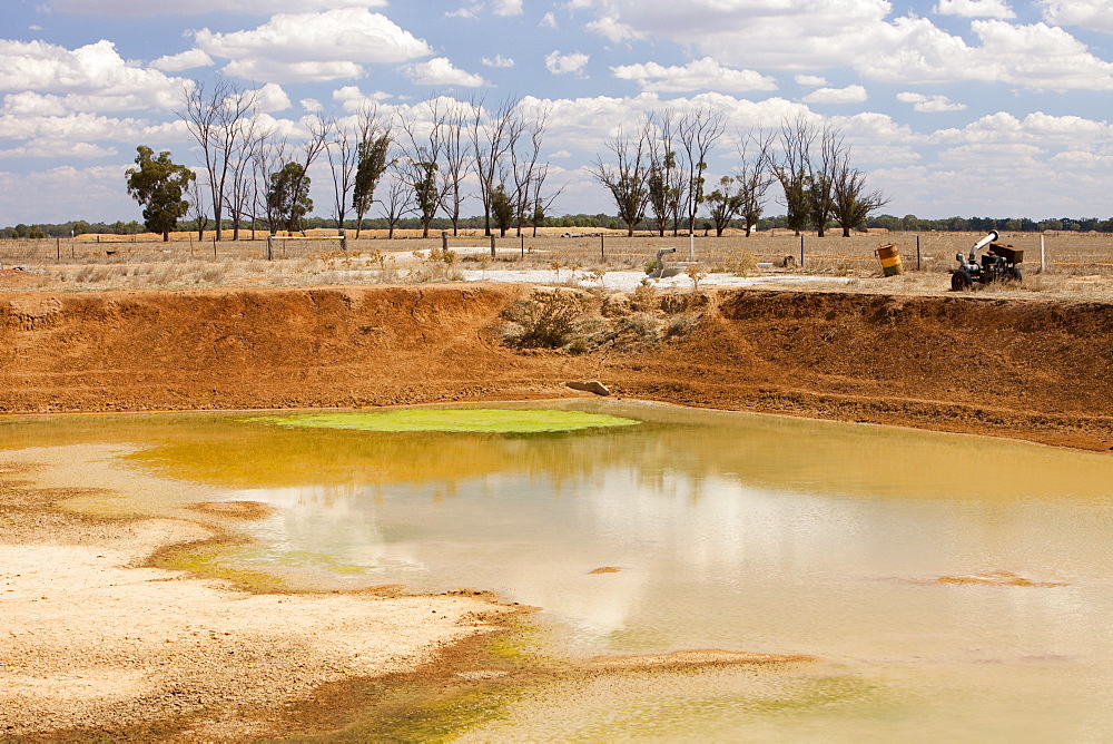 A farmers watering hole, almost dried up, on a farm near Shepperton, Victoria, Australia, Pacific