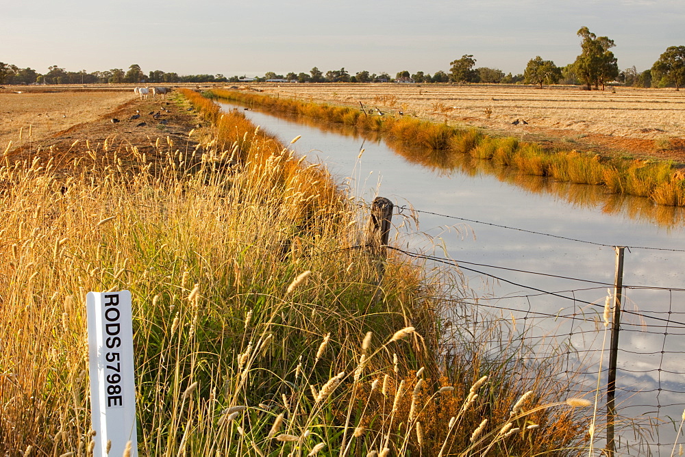 An irrigation ditch near Echuca, Victoria, Australia, Pacific