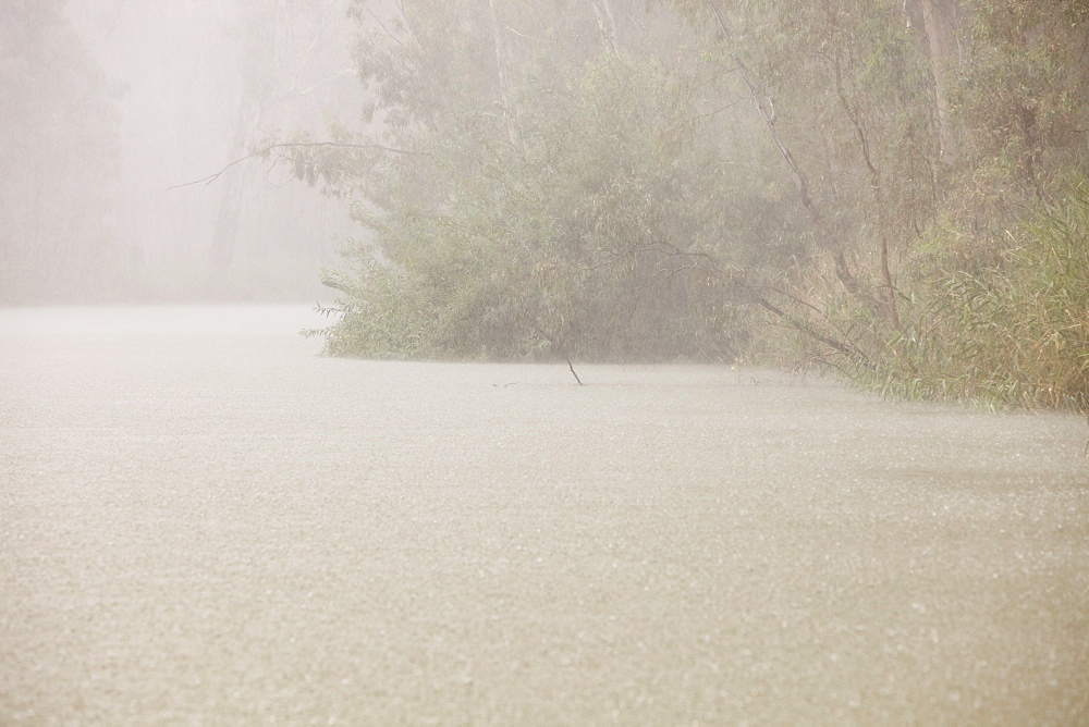 A torrential downpour on the Murray River near Echuca, Victoria, Australia, Pacific