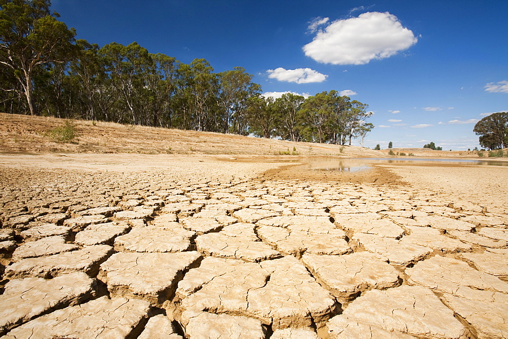 A farmers watering hole, almost dried up, on a farm near Shepperton, Victoria, Australia, Pacific