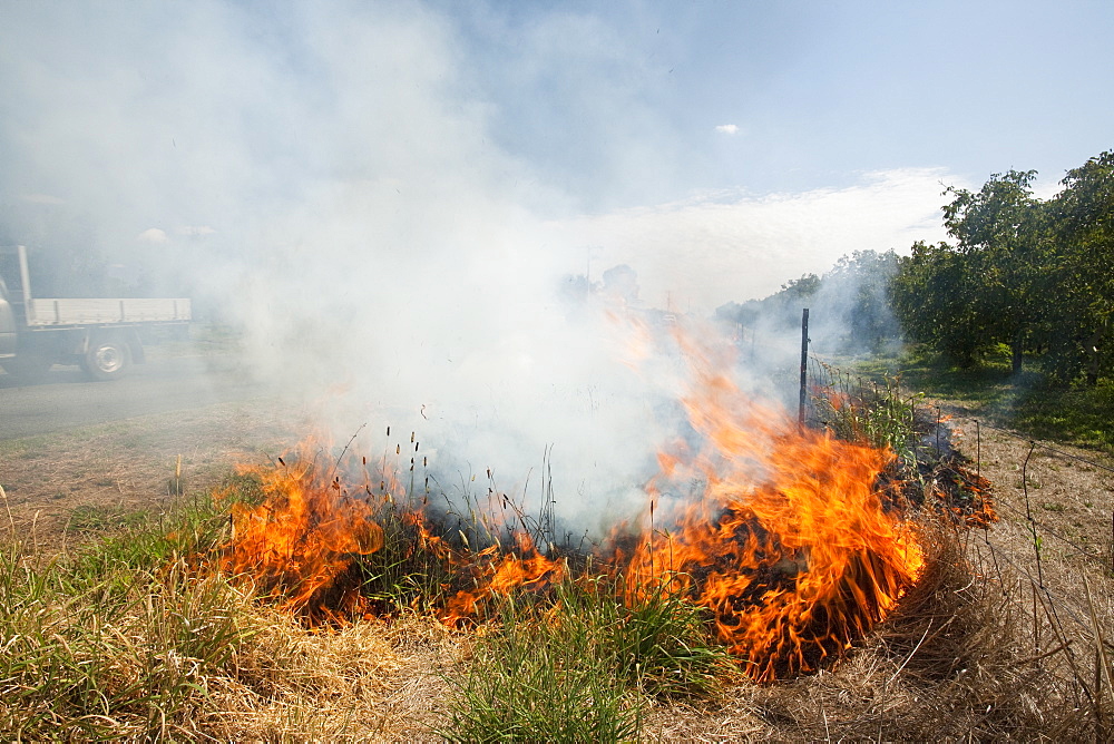 A roadside fire probably started by a motorist throwing a cigarette out of the window, near Shepperton, Victoria, Australia, Pacific