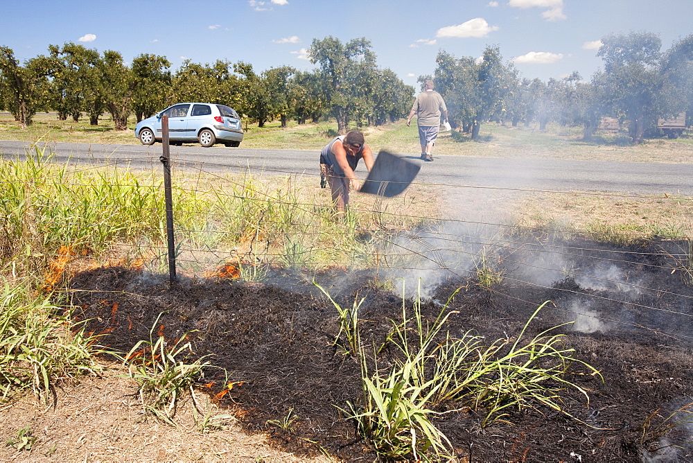 A roadside fire probably started by a motorist throwing a cigarette out of the window, near Shepperton, Victoria, Australia, Pacific