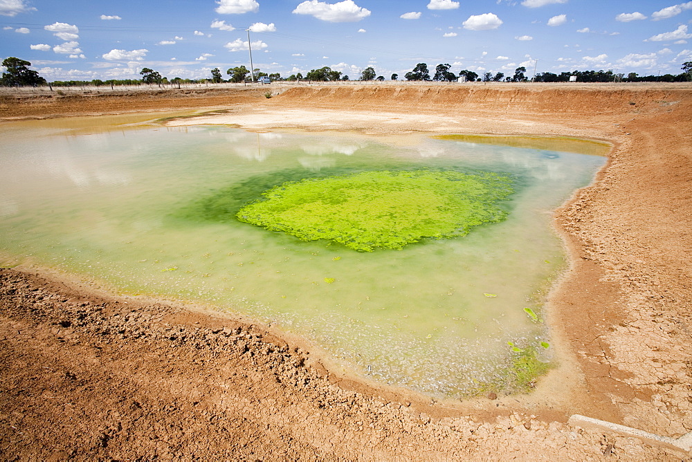 A farmers watering hole, almost dried up, on a farm near Shepperton, Victoria, Australia, Pacific