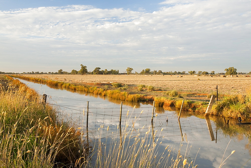 An irrigation ditch near Echuca, Victoria, Australia, Pacific