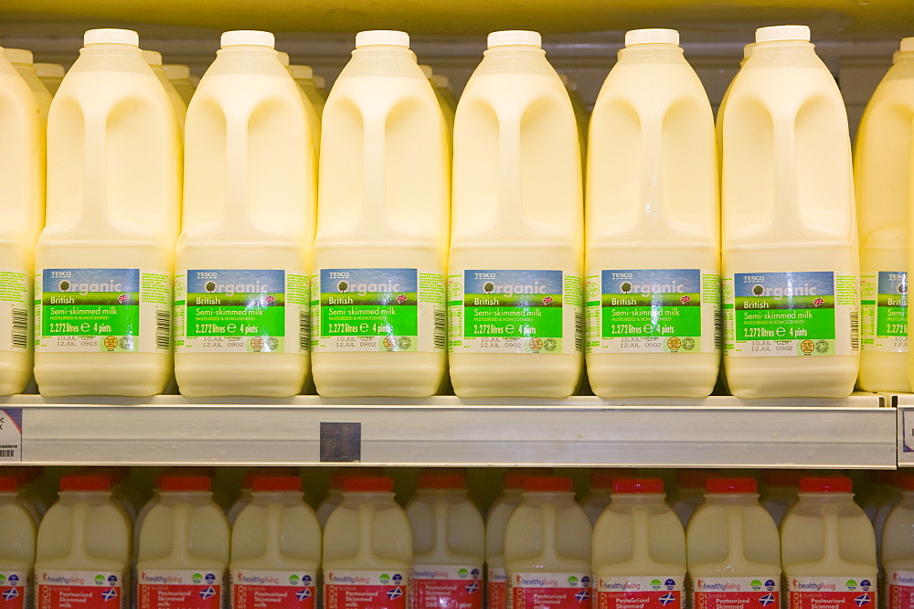 Organic milk for sale on supermarket shelves, Cumbria, England, United Kingdom, Europe