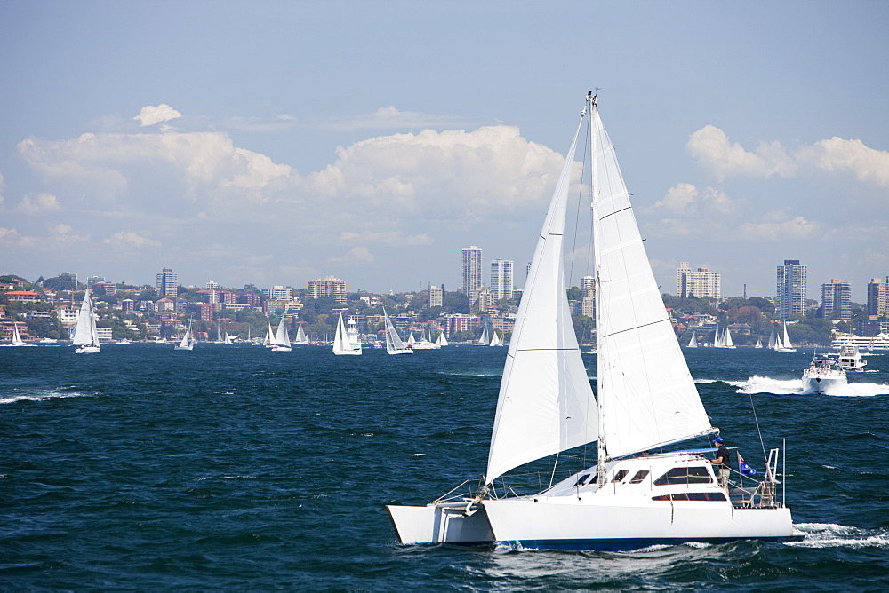 Sailing boats in Sydney Harbour, New South Wales, Australia, Pacific