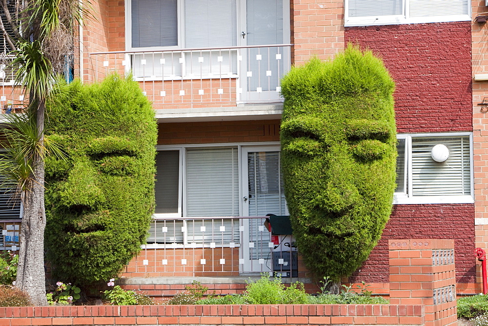 Topiary trees outside a block of flats in Hawthorn, Melbourne, Victoria, Australia, Pacific