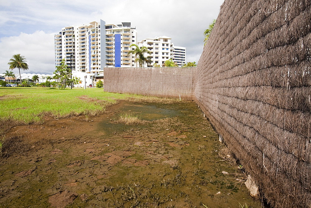 A low lying area that the high tide washed over, Cairns, Queensland, Australia, Pacific