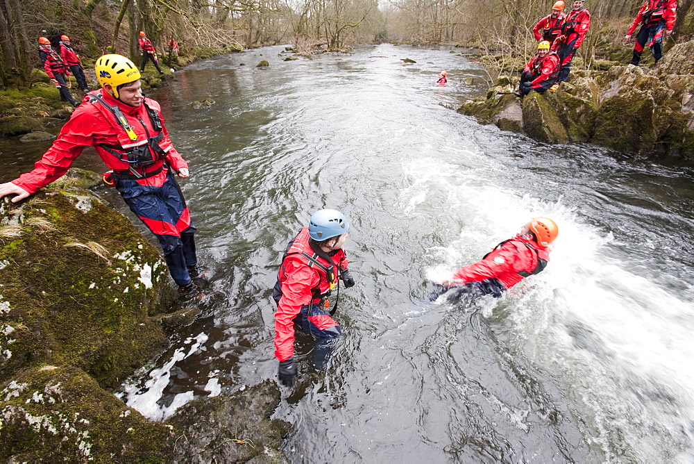 Members of the Langdale Ambleside Mountain Rescue Team train in Swift water rescue techniques on the River Brathay at Skelwyth, Lake District, Cumbria, England, United Kingdom, Europe