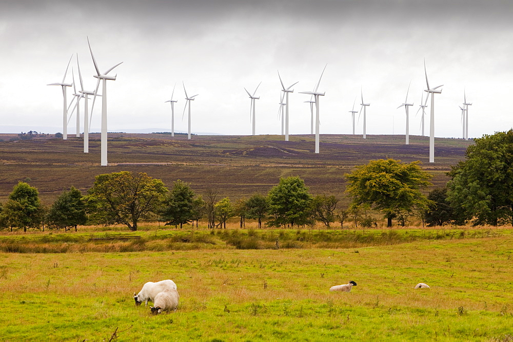 Black Law windfarm near Carluke in Scotland, United Kingdom, Europe