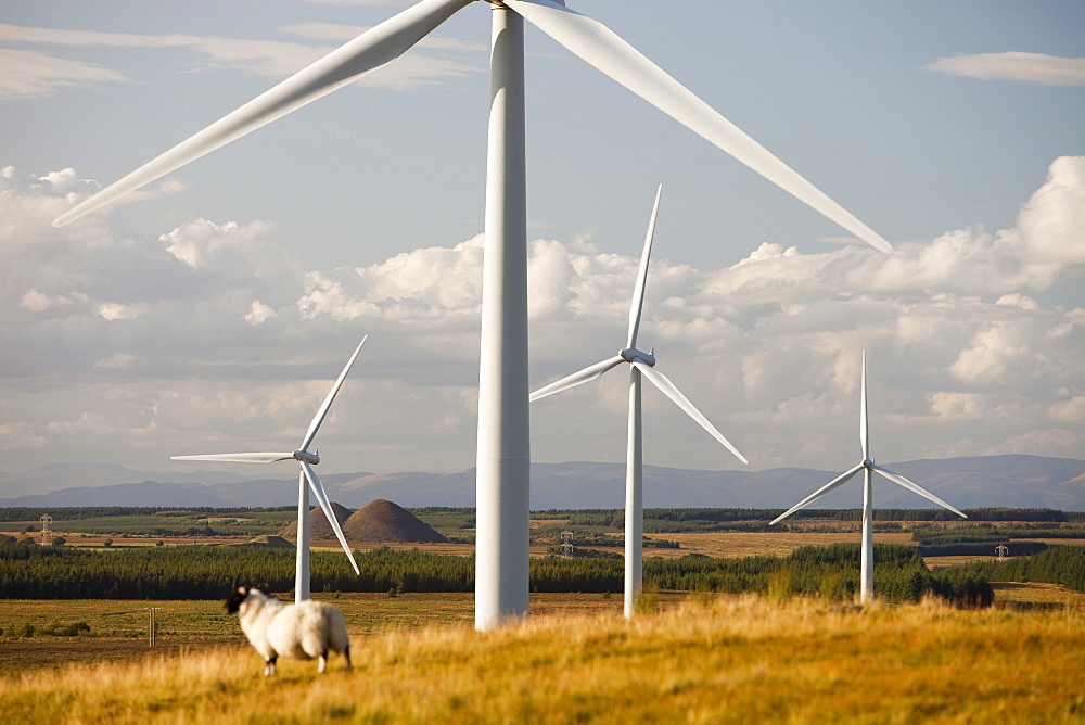 Black Law windfarm near Carluke in Scotland, United Kingdom, Europe