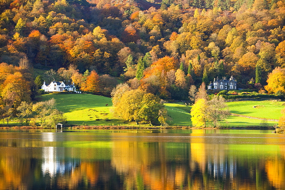 Autumn colours around Grasmere Lake in the Lake District National Park, Cumbria, England, United Kingdom, Europe