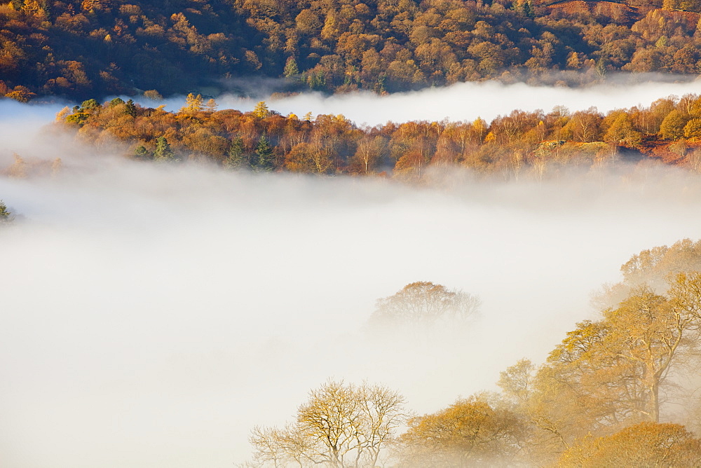 Mist caused by a temperature inversion over Ambleside in the Lake District National Park, Cumbria, England, United Kingdom, Europe