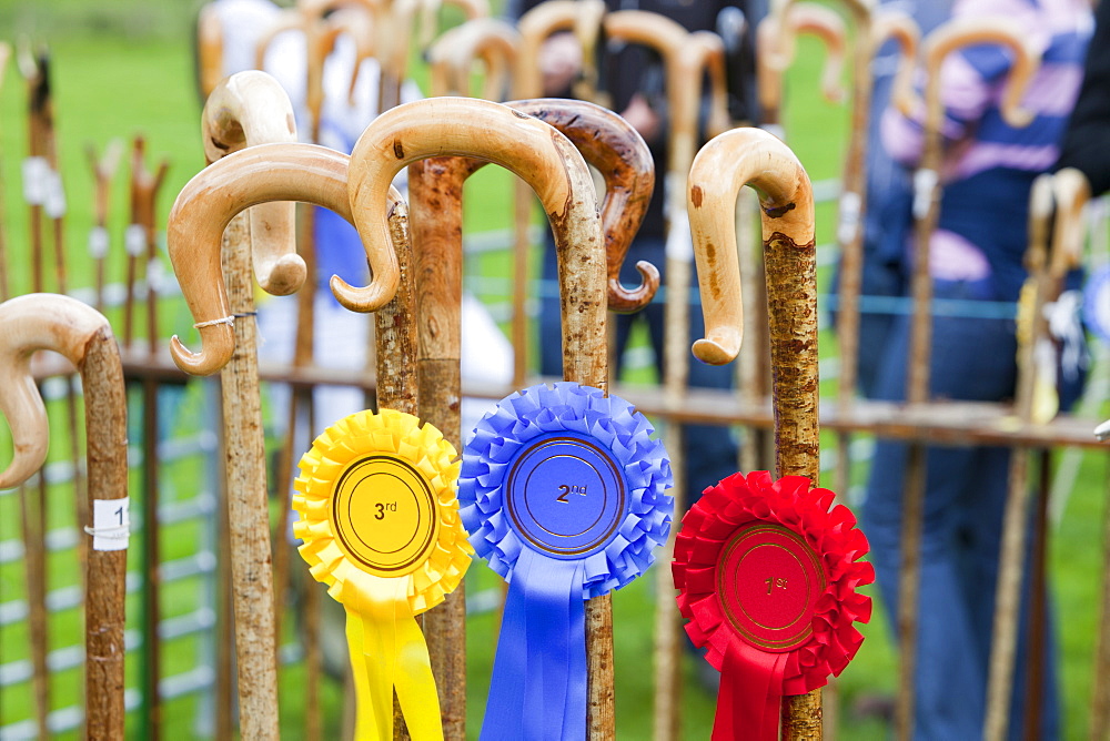 Shepherds crooks being judged at the Vale of Rydal Sheepdog Trials, Ambleside, Lake District, Cumbria, England, United Kingdom, Europe