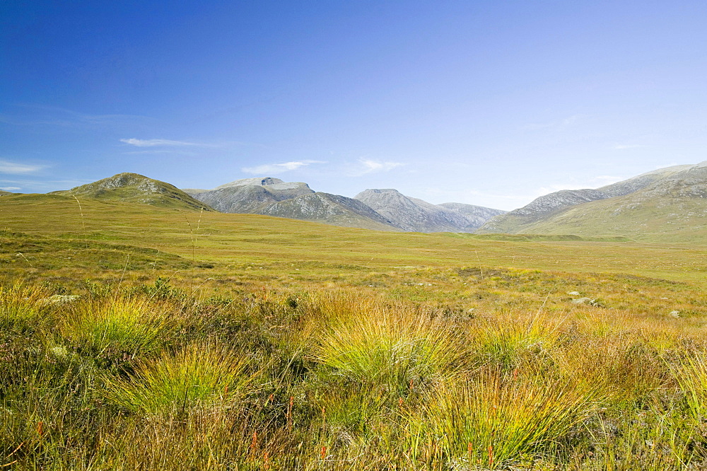 Beinn Dearg above Loch Glascarnoch near Ullapool, Scotland, United Kingdom, Europe