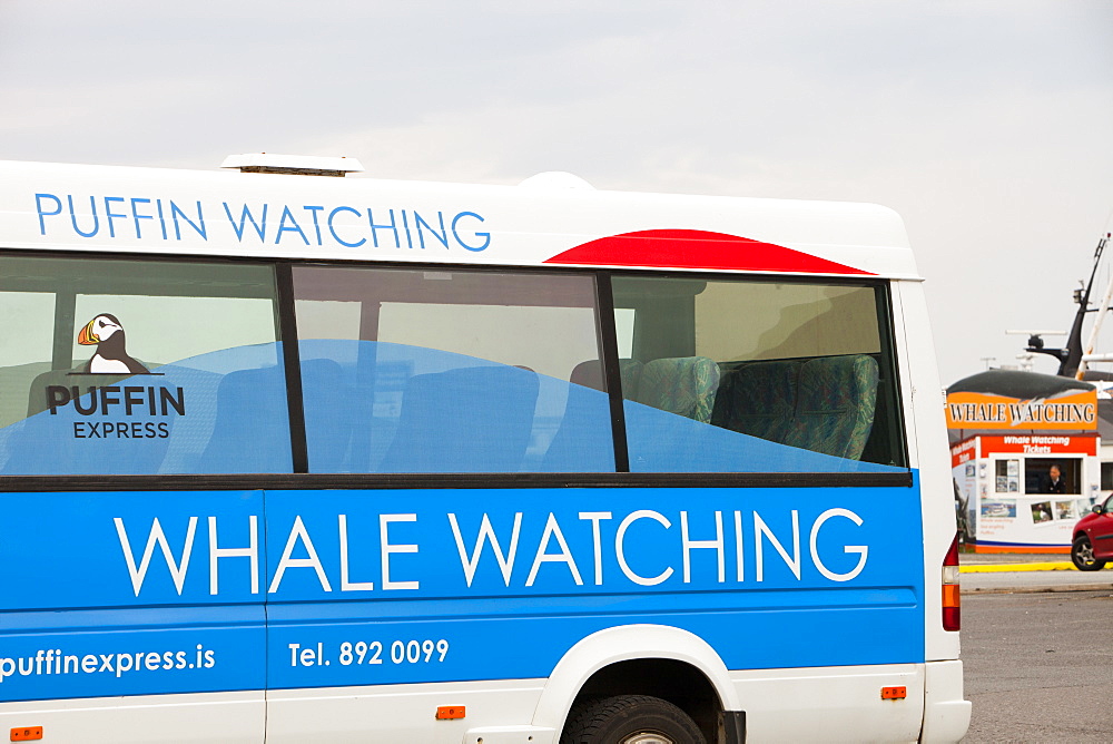 Whale watching companies advertising for trade in Reykjavik, Iceland, Polar Regions