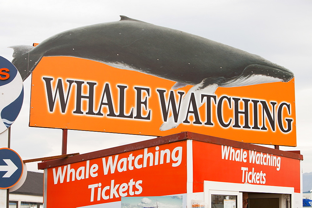 Whale watching companies advertising for trade in Reykjavik, Iceland, Polar Regions