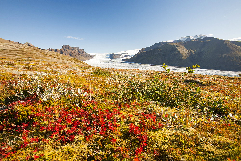 Skaftafellsjokull in the Skaftafell National Park, Iceland, Polar Regions