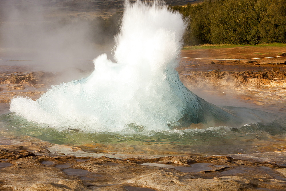 A Geyser at Geysir in Iceland, Polar Regions