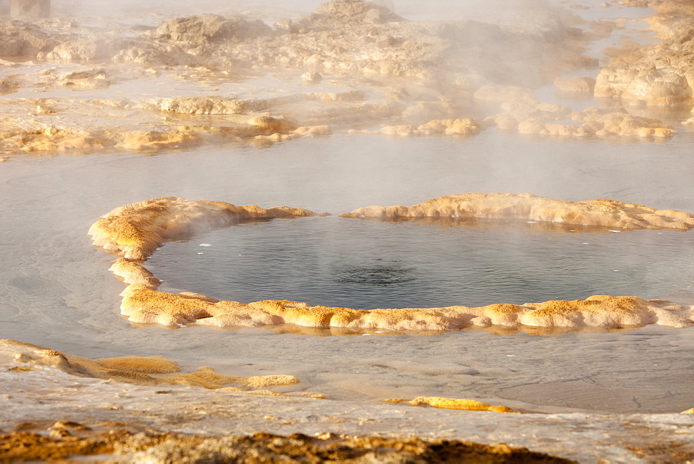 A Geyser at Geysir in Iceland, Polar Regions