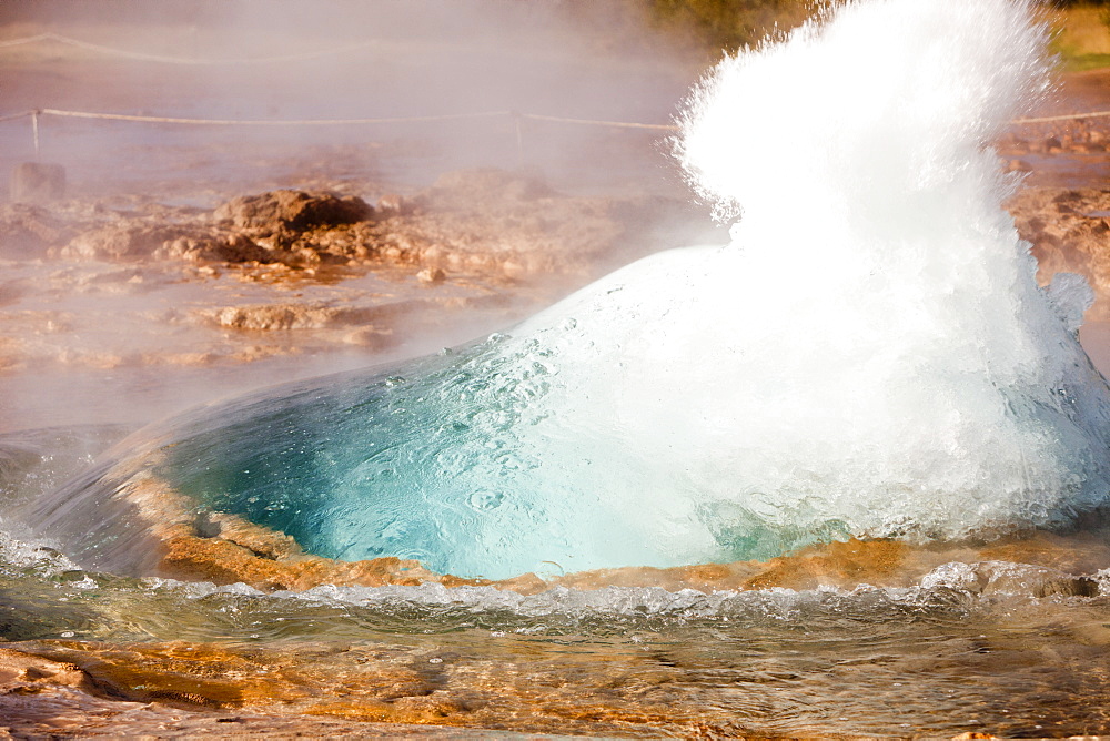 A Geysir at Geysir in Iceland, Polar Regions