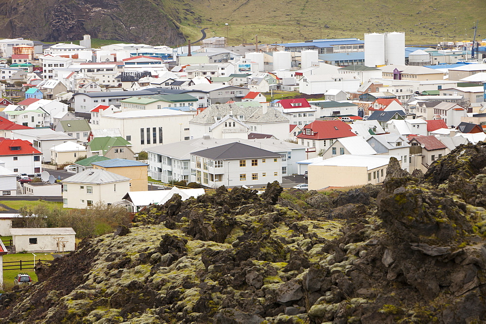 Lucky houses that survived on the edge of the lava flow as it halted, Heimaey, Westman Islands, Iceland, Polar Regions