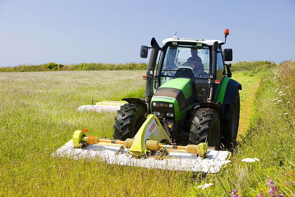 A farmer mowing grass for hay near Porthcurno, Cornwall, England, United Kingdom, Europe