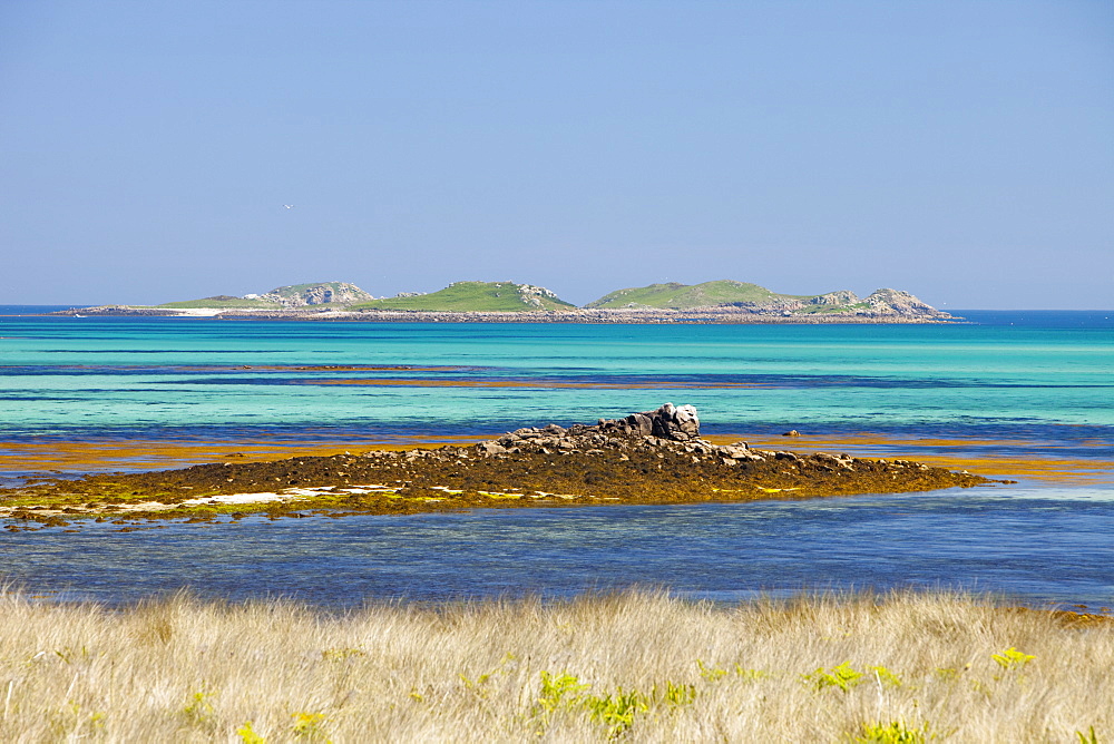 Tresco, one of the Scilly Isles, off South West Cornwall,, United Kingdom, Europe