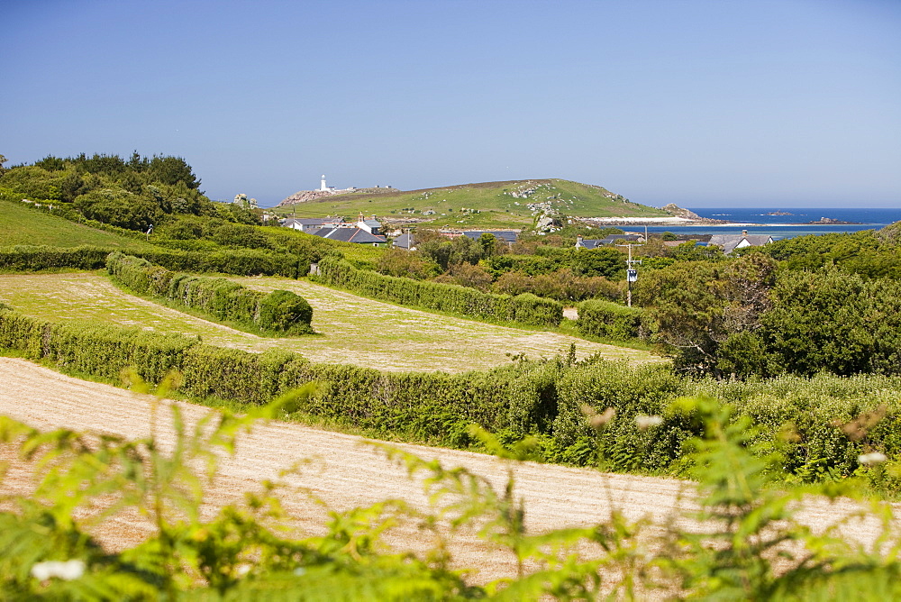 Tresco, one of the Scilly Isles, off South West Cornwall,, United Kingdom, Europe