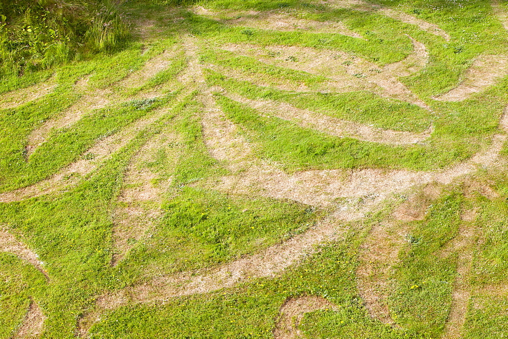 A lawn at Blackwell house being laid out for Lawnpaper, part of the William Morris exhibition, where the environmental artist Steve Messam is cutting the lawns into a William Morris pattern, Bowness, Cumbria, England, United Kingdom, europe