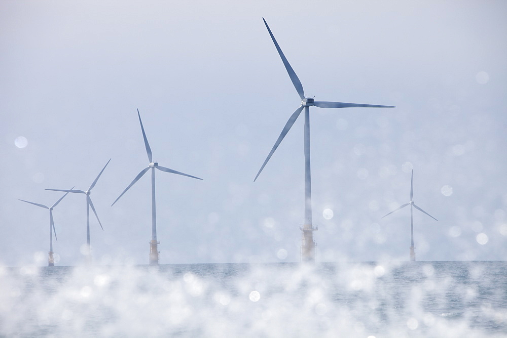 An offshore wind farm off Walney Island, Barrow in Furness, Cumbria, England, United Kingdom, Europe