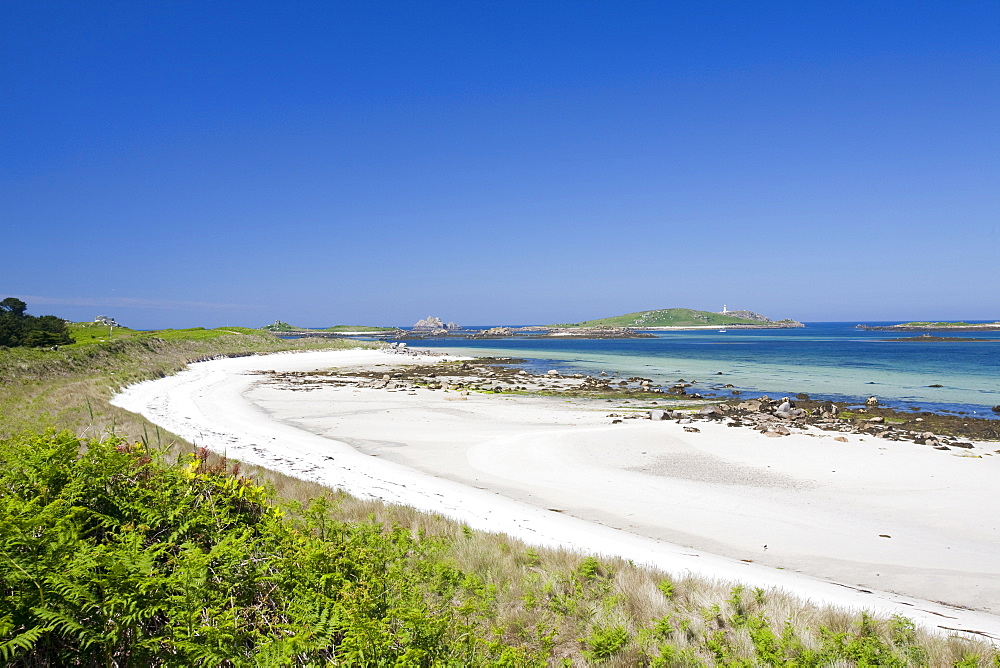 Tresco, Scilly Isles, off South West Cornwall,, United Kingdom, Europe