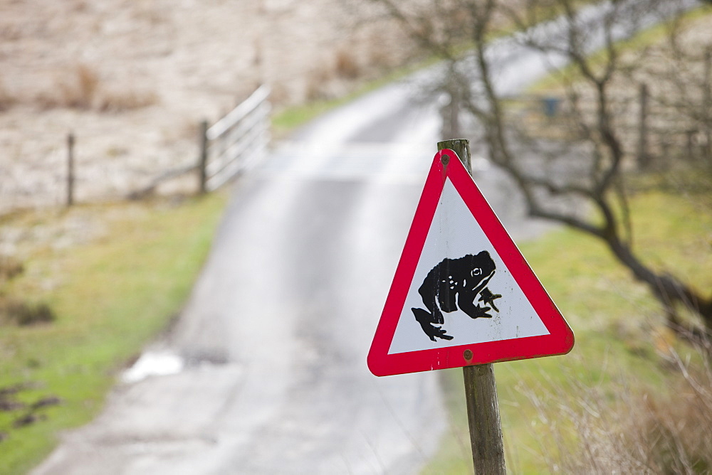 A Toad crossing warning sign on a road near Stocks Reservoir in Lancashire, England, United Kingdom, Europe