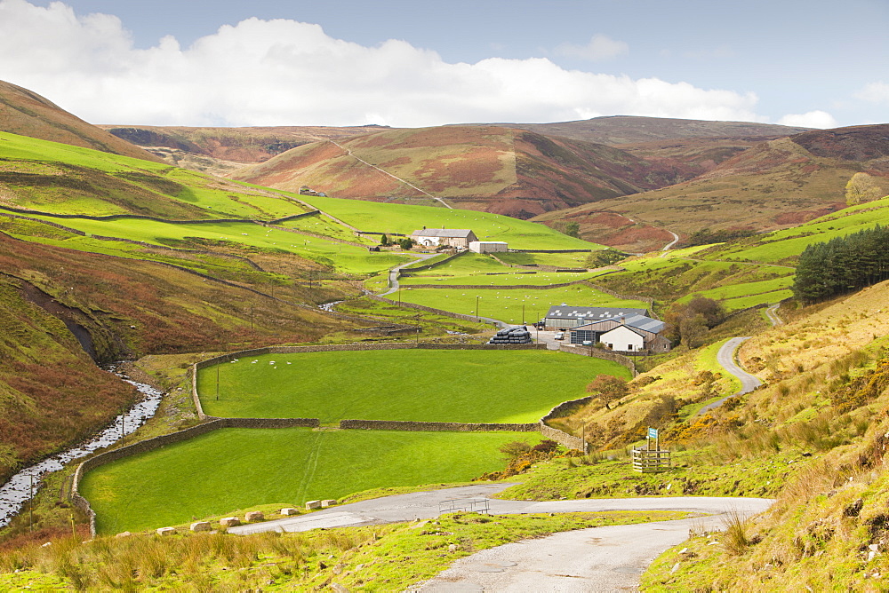 A remote hill farm in the Brennand Valley off the Dunsop Valley above Dunsop Bridge in the Trough of Bowland, Lancashire, England, United Kingdom, Europe