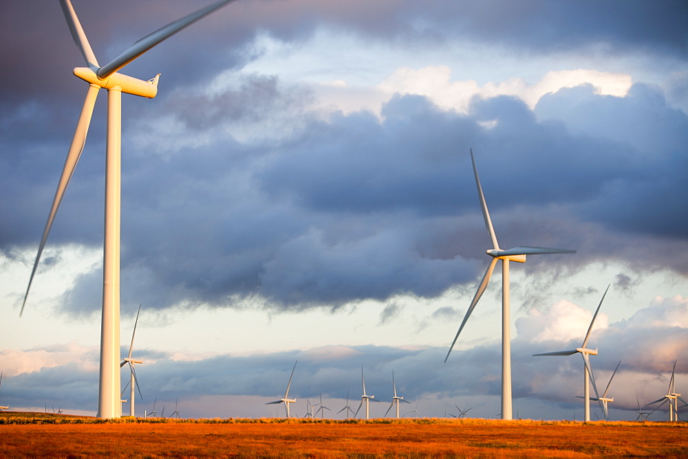 Whitlee wind farm on Eaglesham Moor just south of Glasgow in Scotland, United Kingdom, Europe