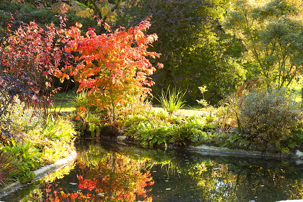 Holehird gardens in Windermere in autumn, Lake District, Cumbria, England, United Kingdom, Europe