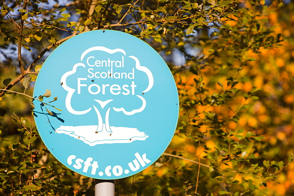 The Central Scotland forest at Falkirk, Scotland, United Kingdom, Europe