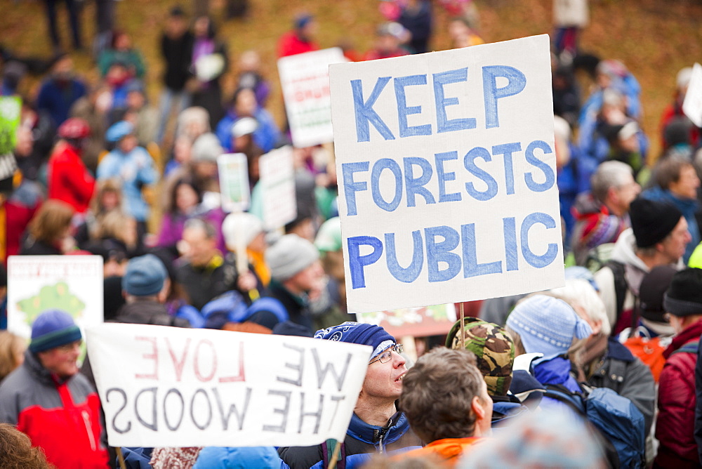 Members of the public protesting in Grizedale Forest against government proposals to sell off Forestry Commission land, Lake District, Cumbria, England, United Kingdom, Europe