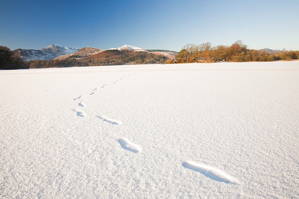 Footsteps of walker who crossed Derwent Water at Keswick in the Lake District when it was completely frozen over during December 2010, Cumbria, England, United Kingdom, Europe