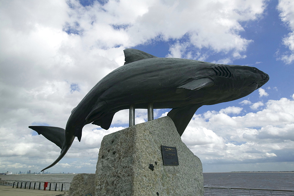 Sculpture of a Grey Reef Shark outside the Deep in Hull, Humberside, England, United Kingdom, Europe