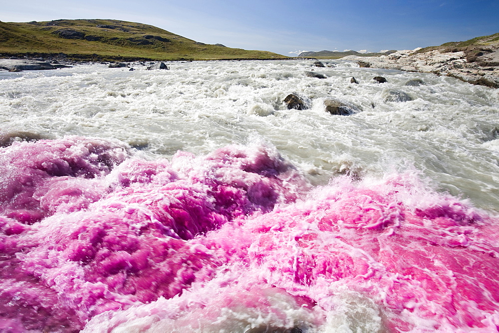 PHD scientist Ian Bartholomew using dye tracing techniques as part of a study to measure the speed of the Russell Glacier near Kangerlussuaq, Greenland, Polar Regions