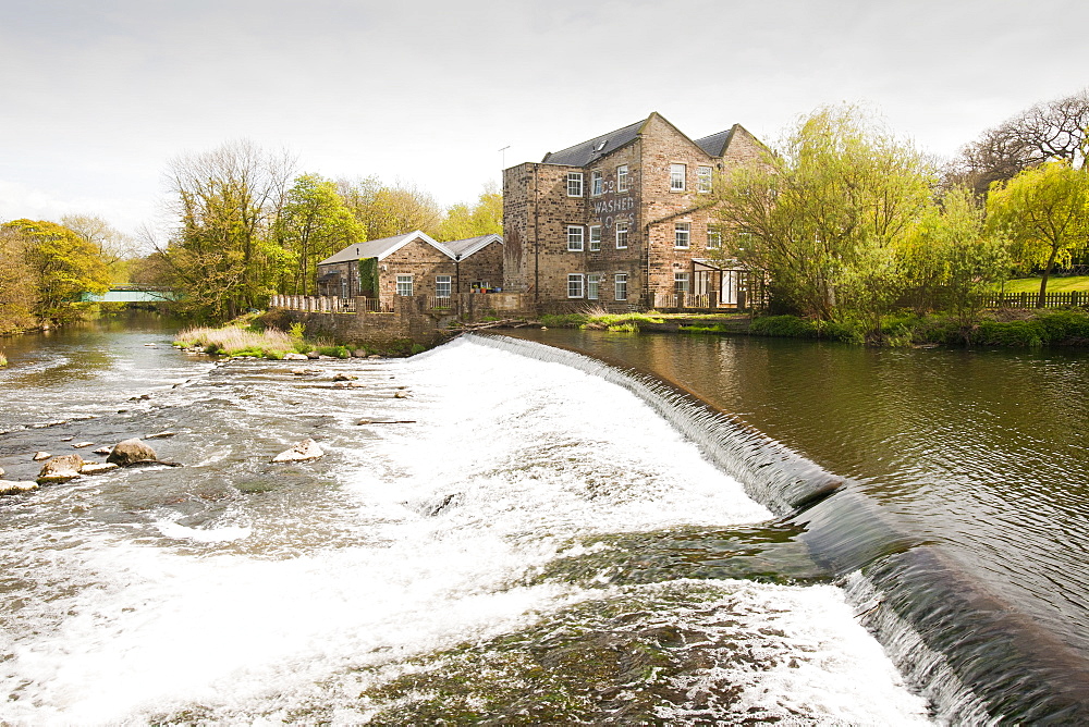 A mill building upstream from Saltaire on the River Aire, Yorkshire, England, United Kingdom, Europe